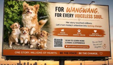 S.F. activists join global fight for stronger animal abuse protections in China