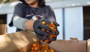 California Expands Lunch Program That Pairs Schools With Farms