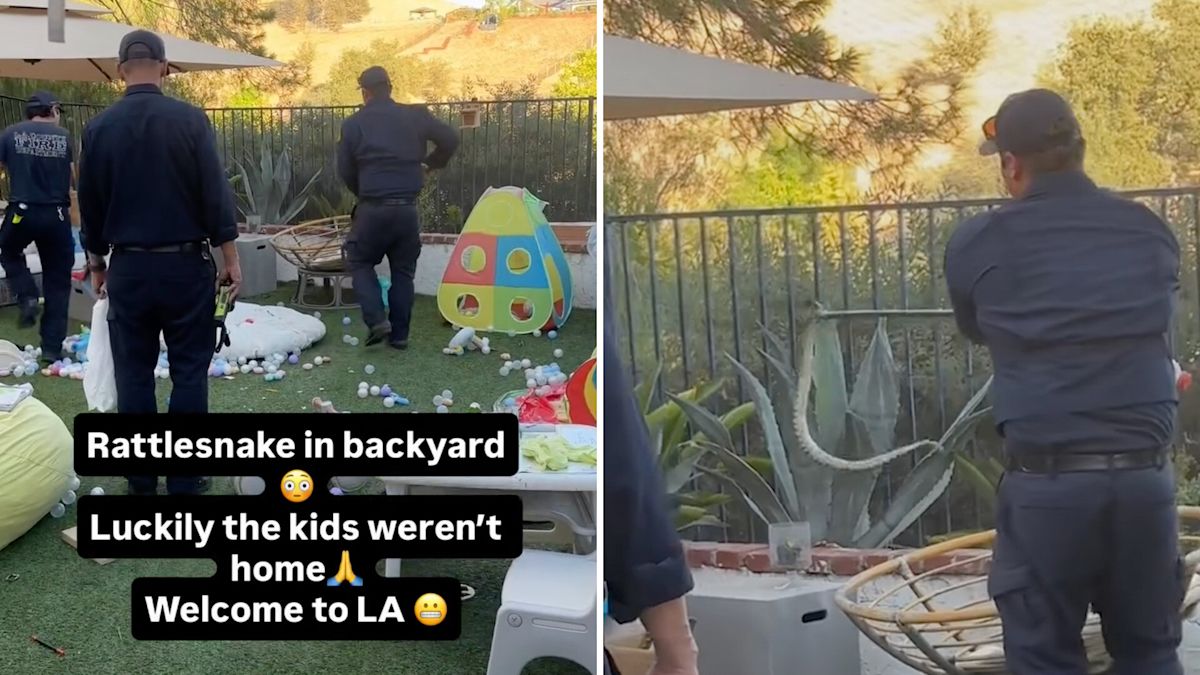 Firefighters remove rattlesnake from California play area after family spots it near toys