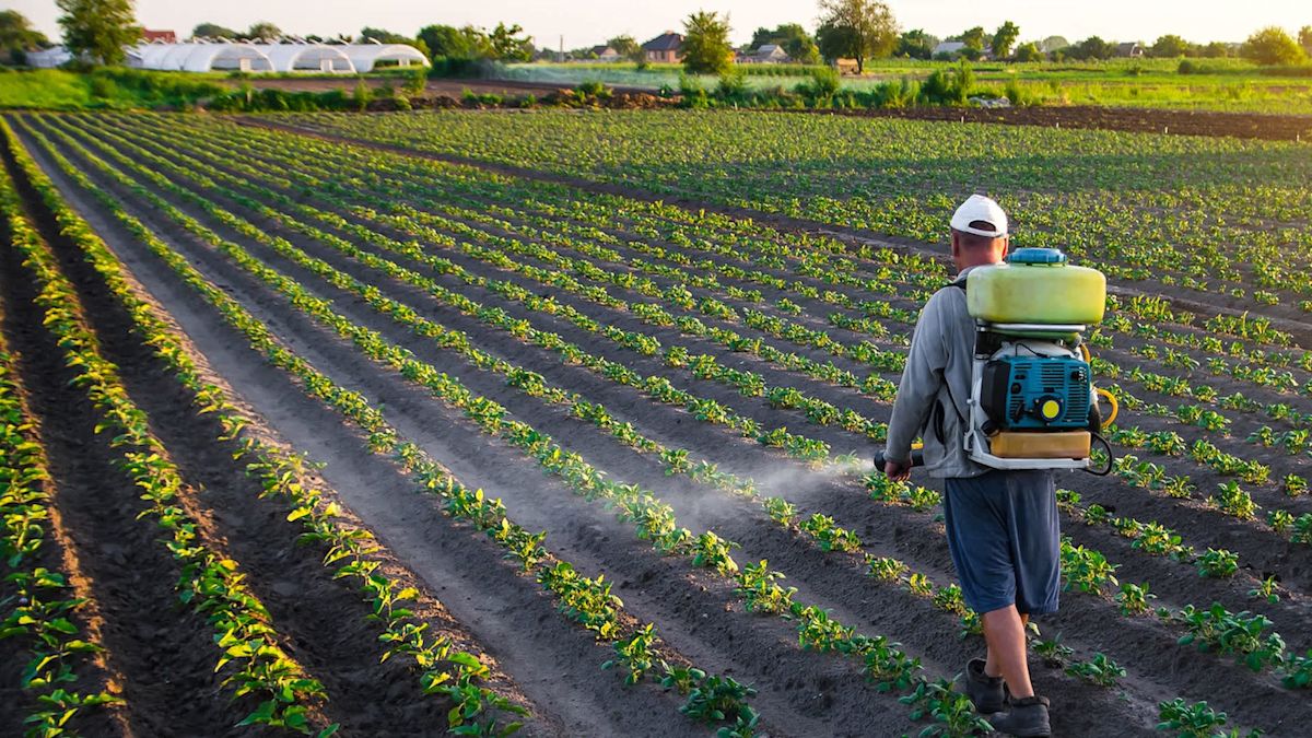 California farmworkers say pesticide drift is harming families before children are even born