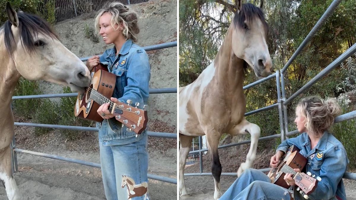 California singer builds debut album around rescue horse who plays guitar with his nose