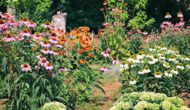 If You Want Your Long Beach Garden To Flourish, Plant These 5 Vibrant Perennials