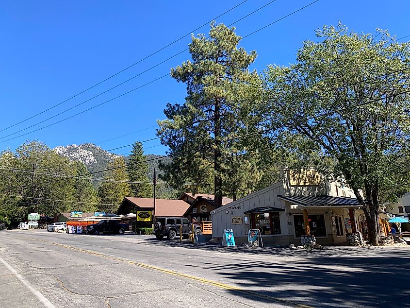 Pine-lined street in Idyllwild, California.