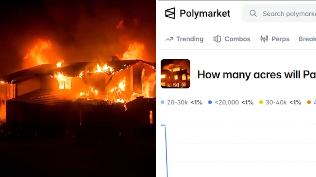 Lawmakers push back on Polymarket bets on deadly LA wildfires – NBC Los Angeles