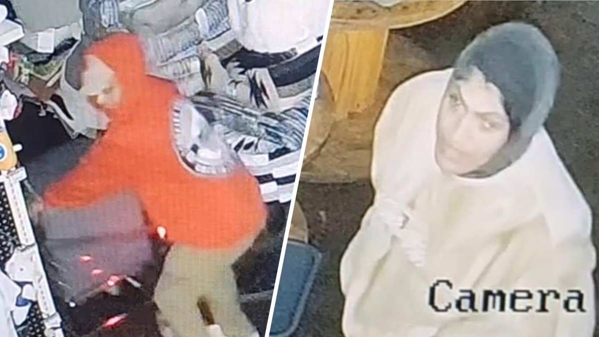 Fairfax pet store hit by two burglaries in less than a week – NBC Los Angeles