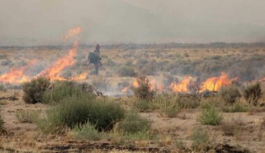 Two injured in Bug Fire flown to Sacramento burn center