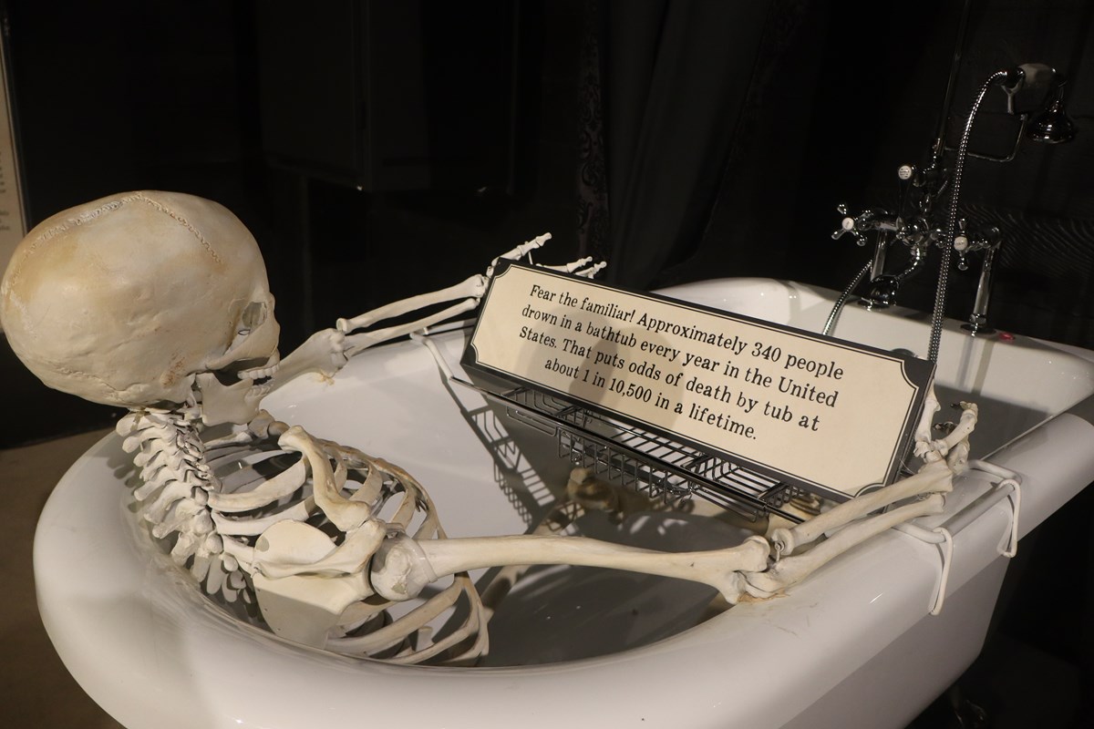 skeleton