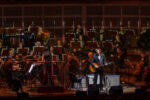 Andrew Bird, San Francisco Symphony