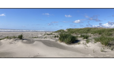 A shoreline.