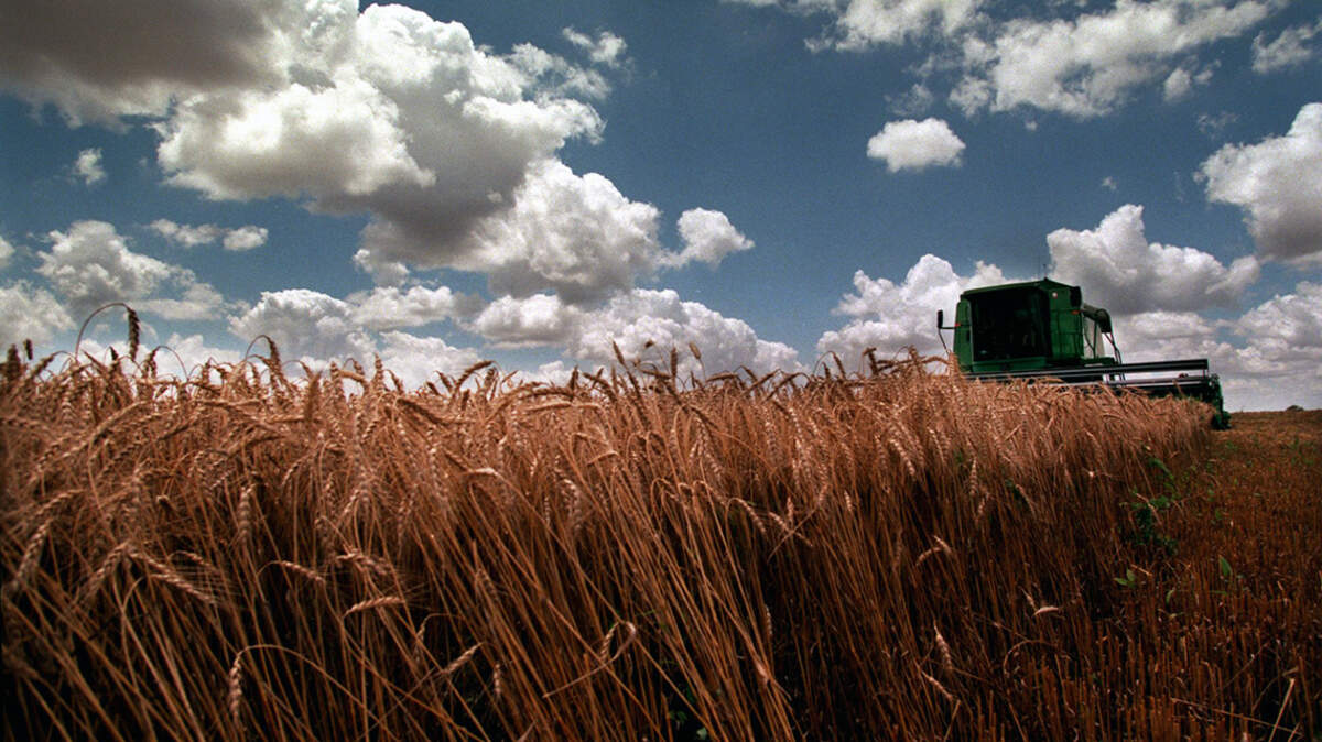 Alternative crops offer options beyond fallowing land