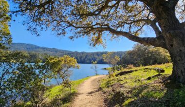 California's Crystal-Clear Lake An Hour From San Francisco Is A Secluded Haven For Fishing, Wildlife, And Trails