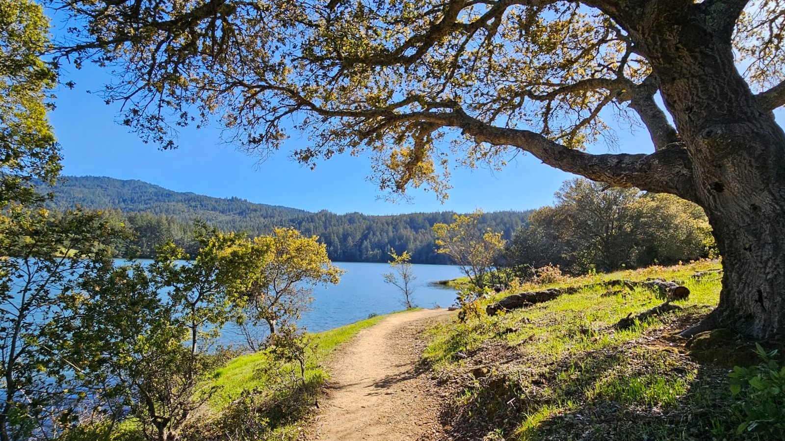 California's Crystal-Clear Lake An Hour From San Francisco Is A Secluded Haven For Fishing, Wildlife, And Trails
