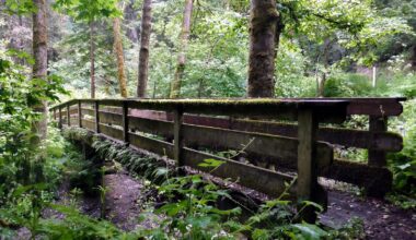 Forget Sequoia National Park, Visit California's County Park With Towering Redwoods, Trails, And Fewer Crowds