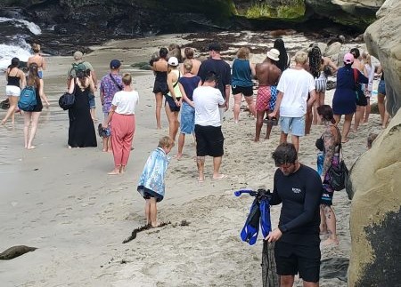 ‘Completely out of control’: Coastal Commission discusses whether partial closure of La Jolla Cove is needed – San Diego Union-Tribune