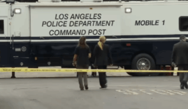 Dog shot after biting LAPD officer in South LA – NBC Los Angeles