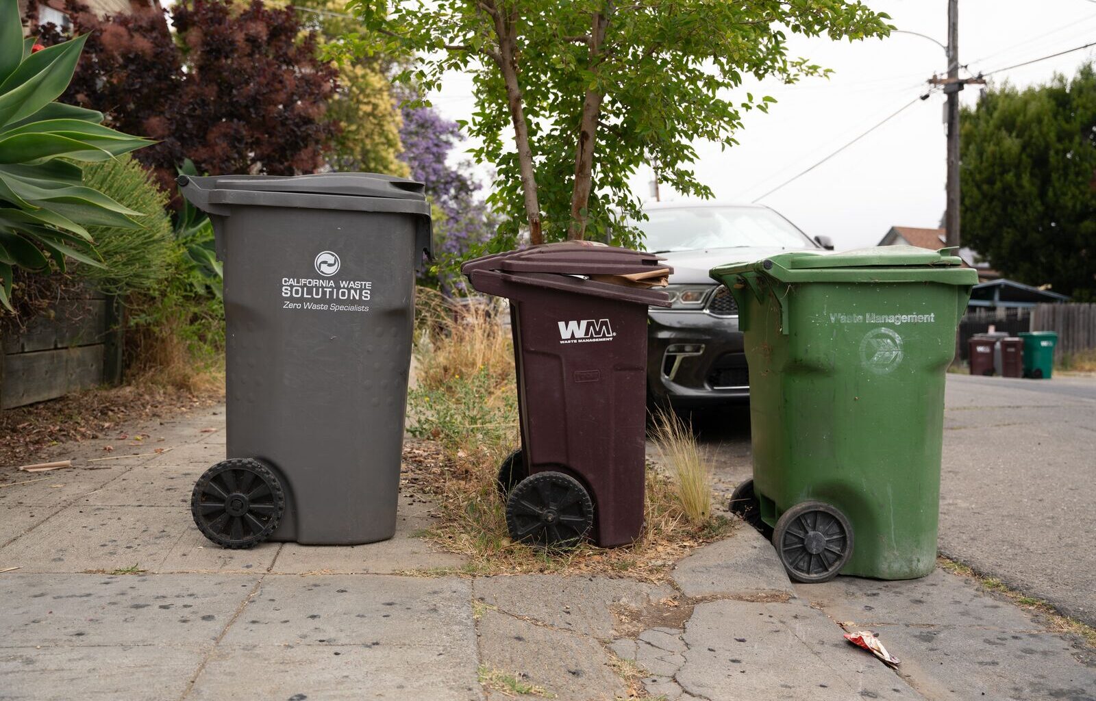 Green bags don't cut it. Here’s how to compost in Oakland instead