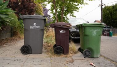 Green bags don't cut it. Here’s how to compost in Oakland instead