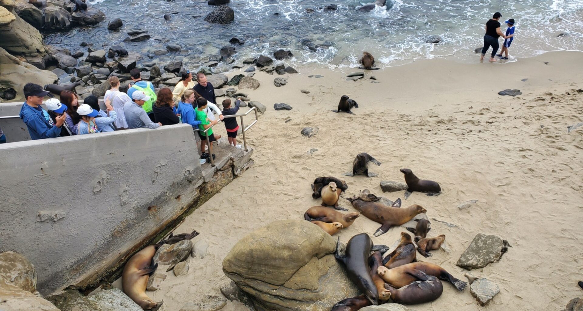 Our Readers Write: La Jolla Cove management, leaf blowers, East Roseland Drive – San Diego Union-Tribune