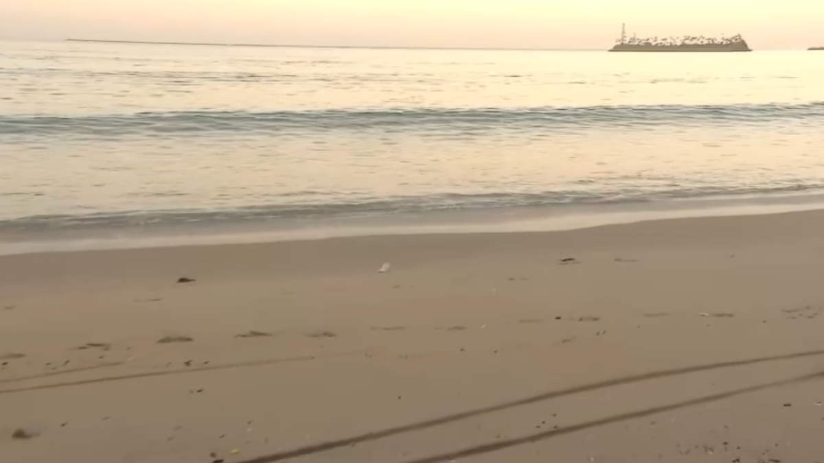 Southern California coast prepares for week of high tides – NBC Los Angeles