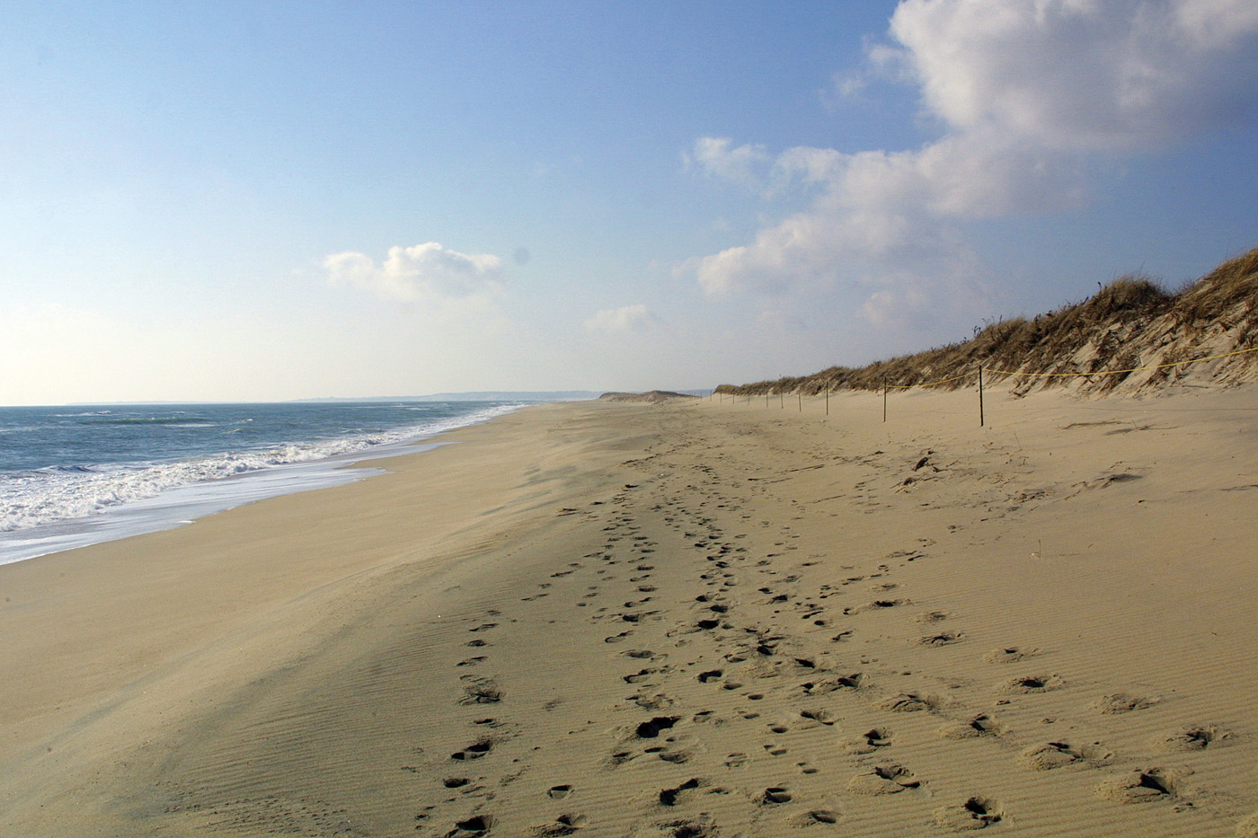 Swimmer in distress at Long Point -