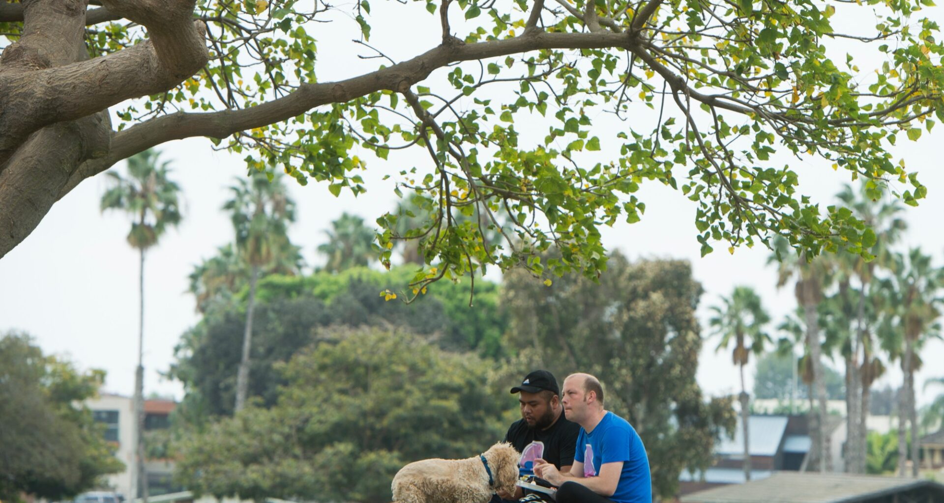 Long Beach to host summer park celebration at Marina Vista Park this weekend – Press Telegram