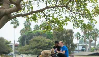 Long Beach to host summer park celebration at Marina Vista Park this weekend – Press Telegram