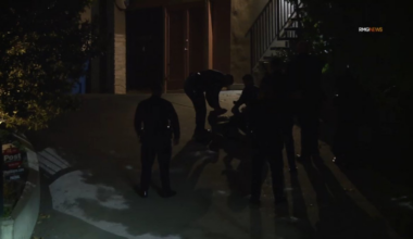 Man detained at Hollywood Hills home connected to Nia Long – NBC Los Angeles