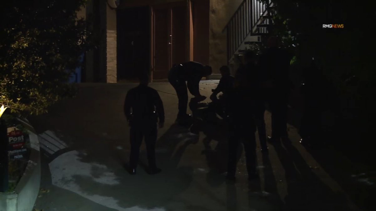 Man detained at Hollywood Hills home connected to Nia Long – NBC Los Angeles