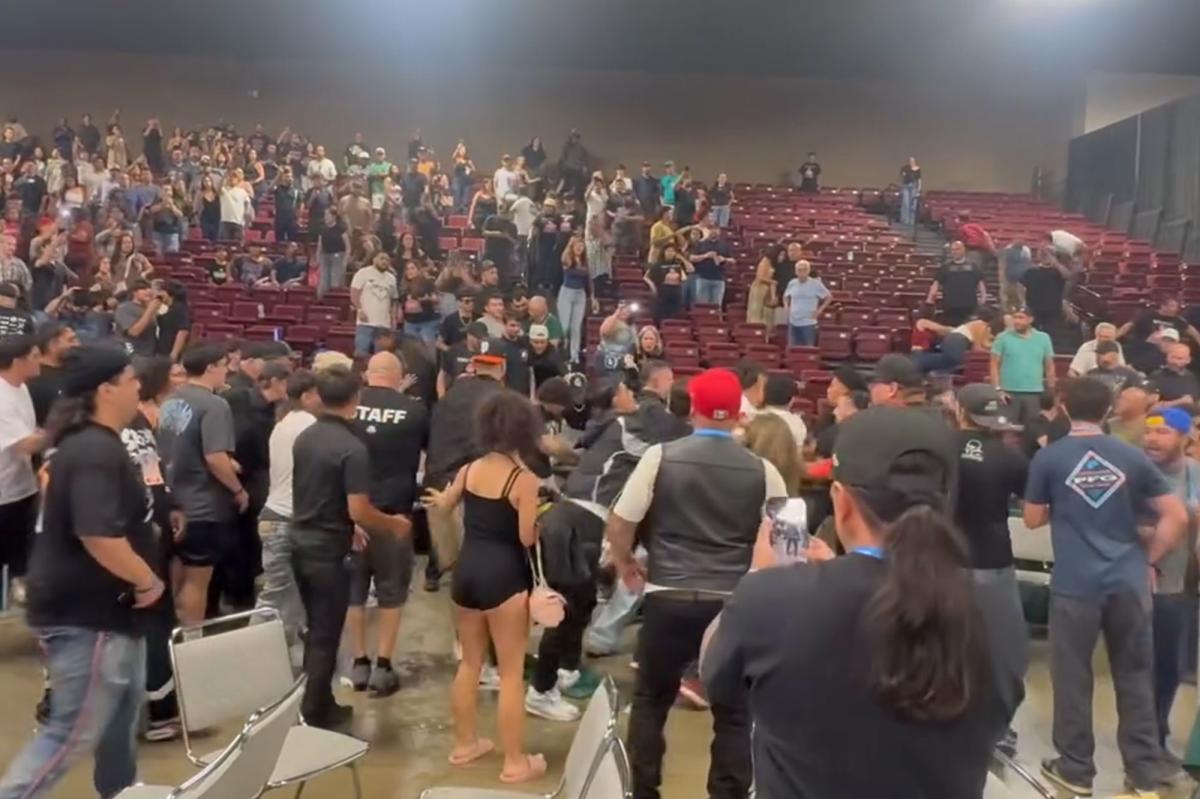 California MMA event erupts into massive 100-person brawl as 15 arrested, three cops injured