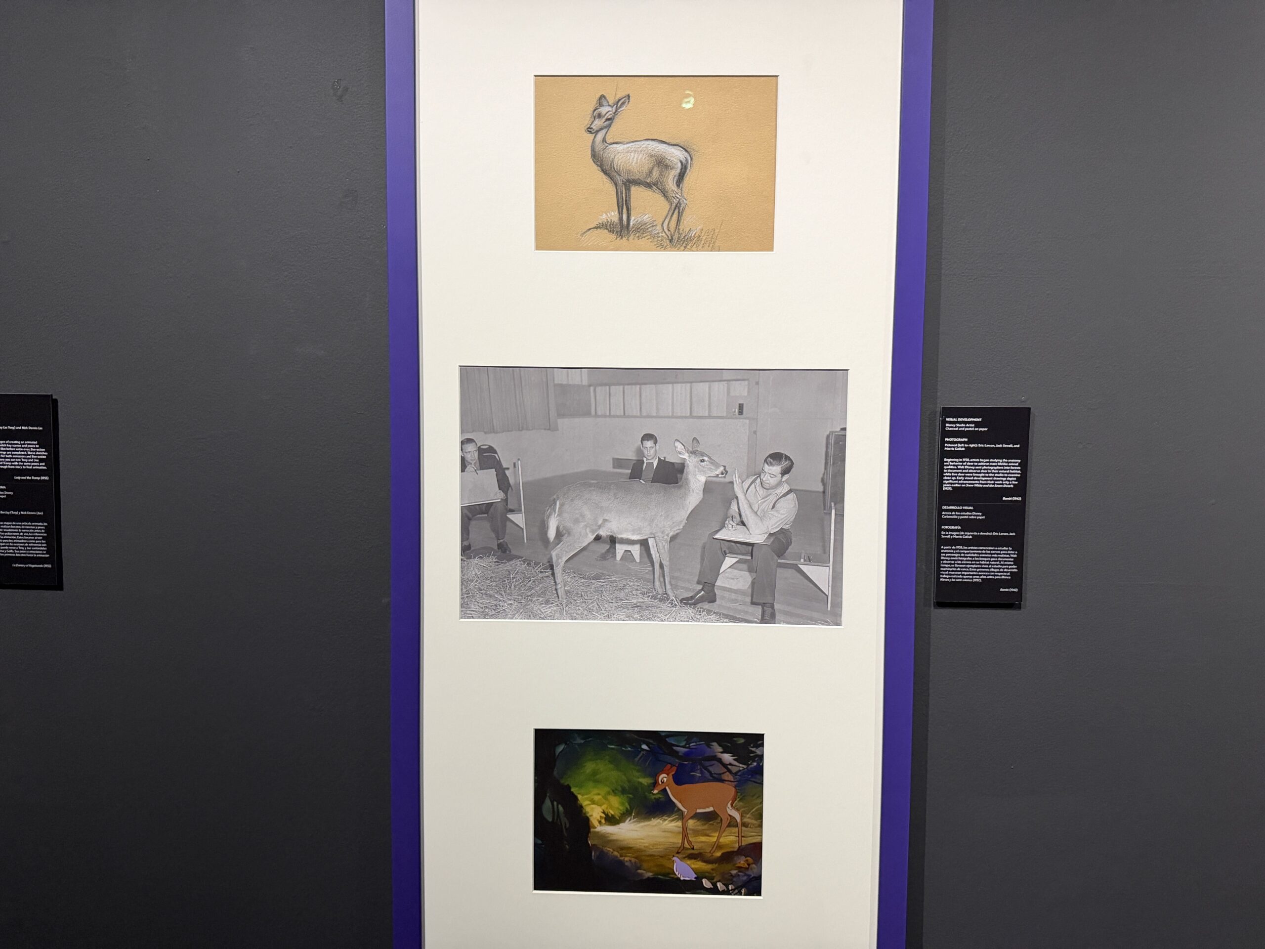 Walt Disney Archives Presents