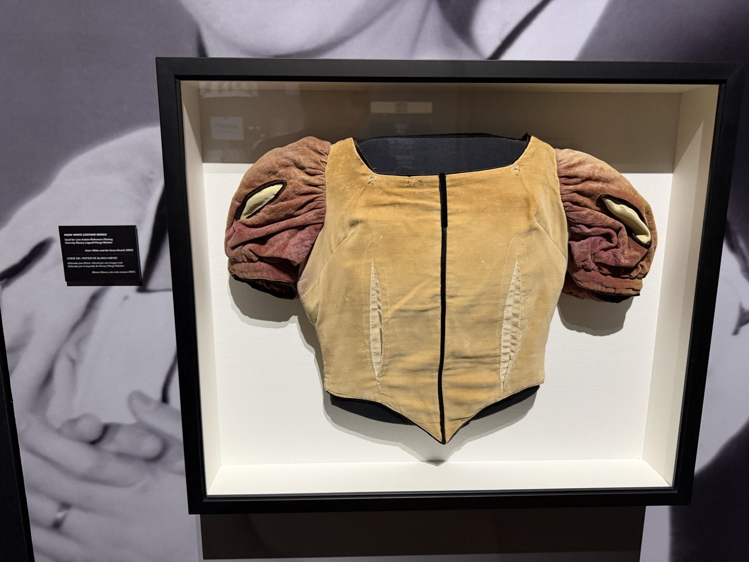 Walt Disney Archives Presents