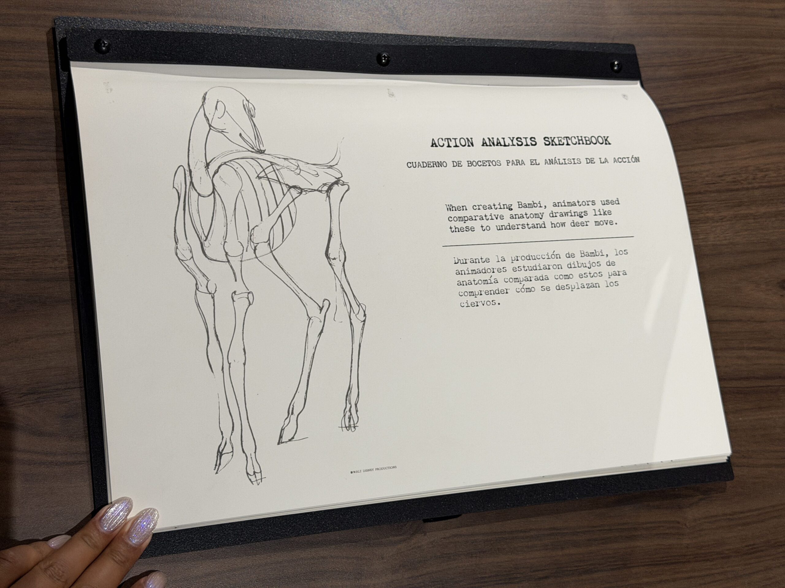 Walt Disney Archives Presents