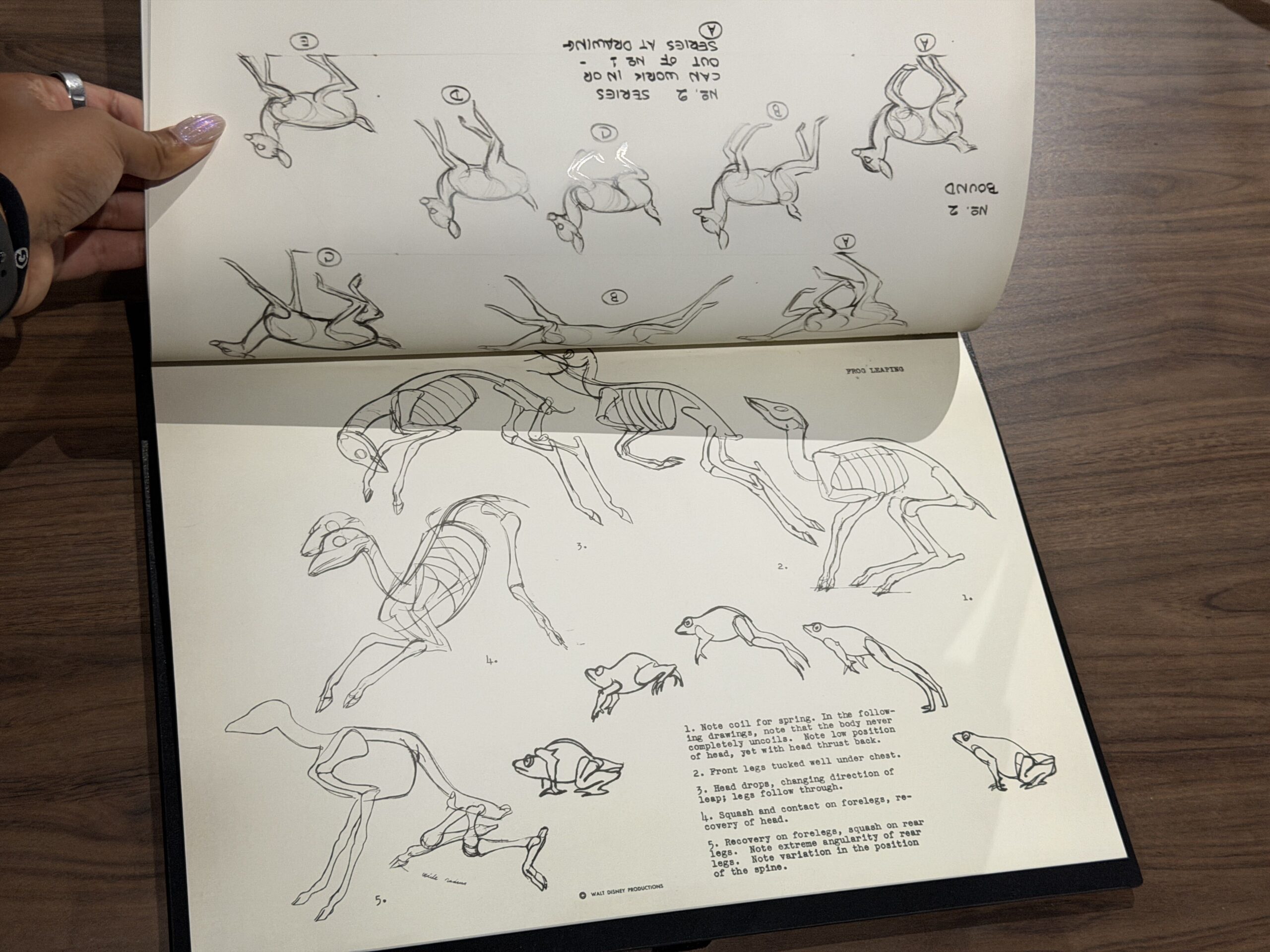 Walt Disney Archives Presents