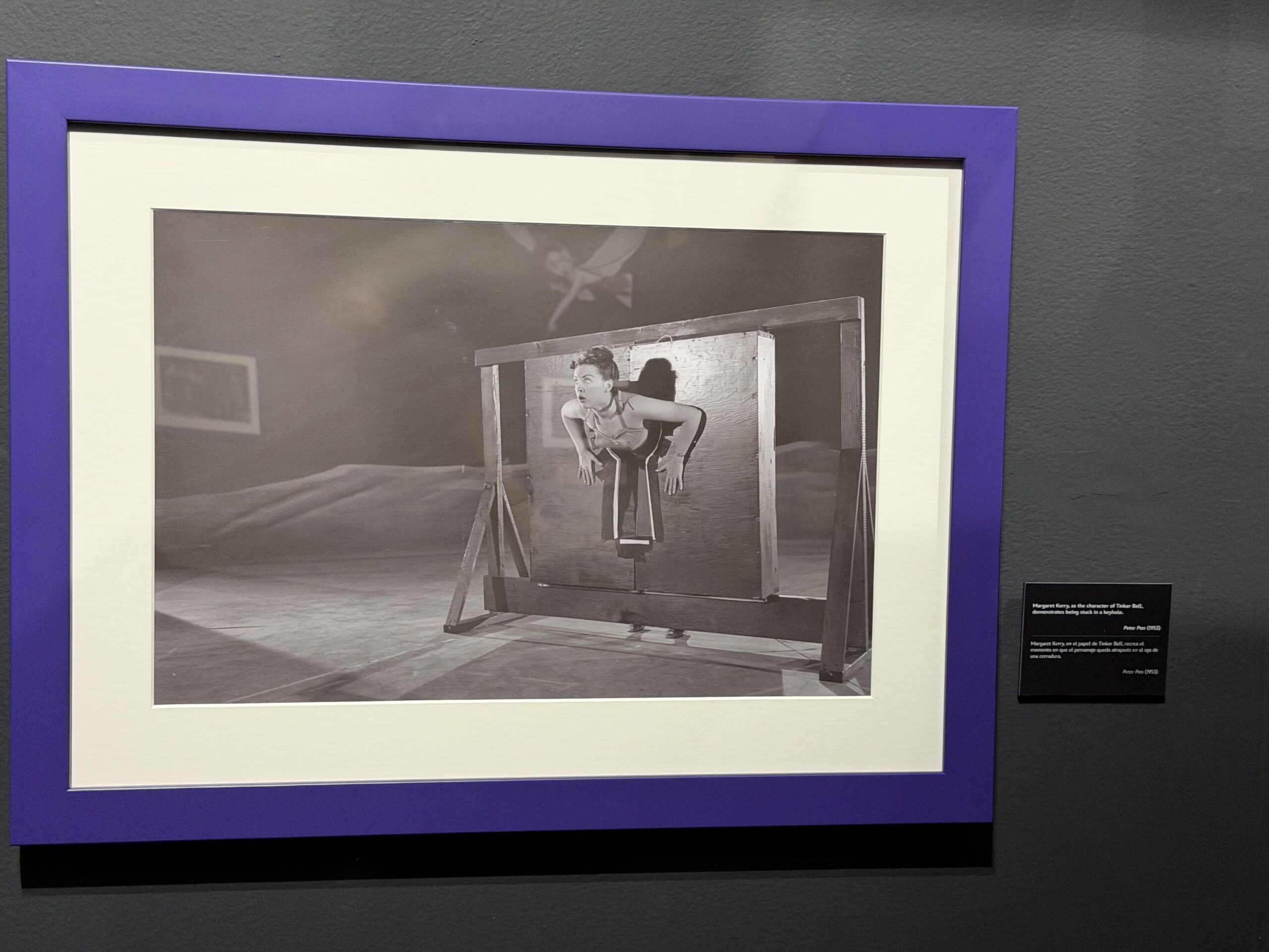Walt Disney Archives Presents