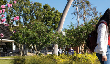 CSULB No. 1 in the CSU for GE math and more Beach achievements