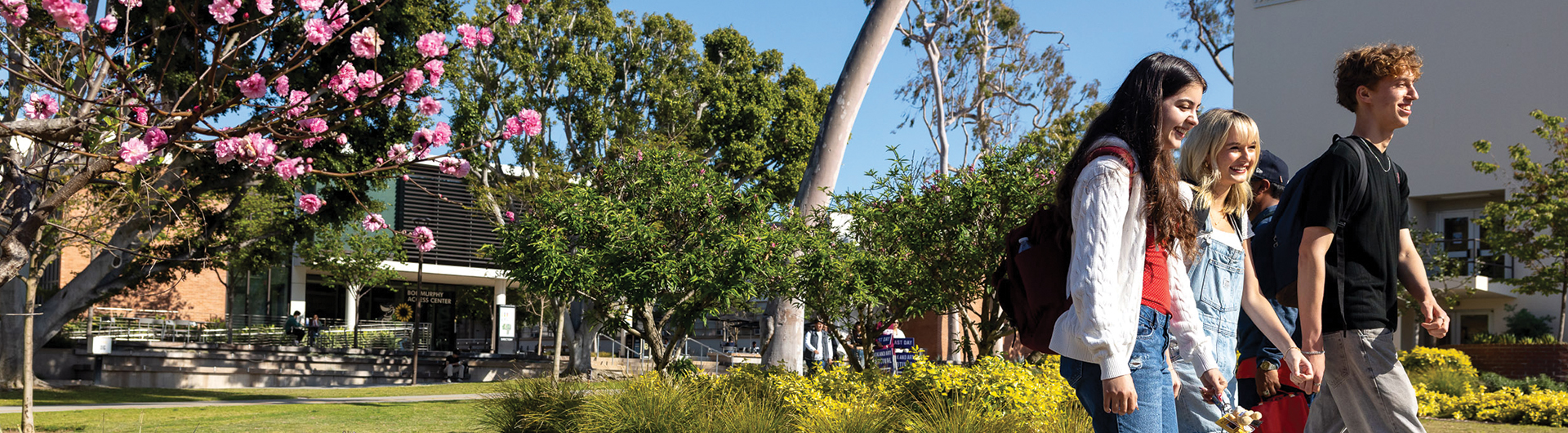 CSULB No. 1 in the CSU for GE math and more Beach achievements