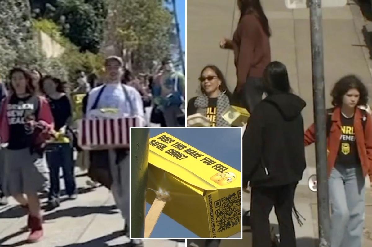 Activists descend on billionaire Chris Larsen's San Francisco mansion over Flock cameras