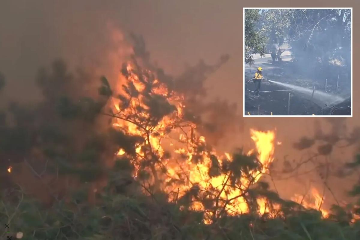 Homeless man arrested for sparking Santa Rosa wildfire as police probe arson scourge