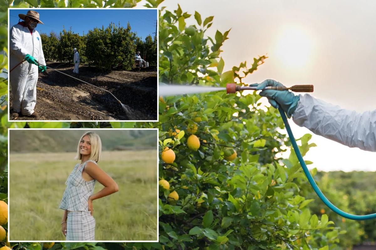 After rare OC cancer California restricts toxic weedkiller