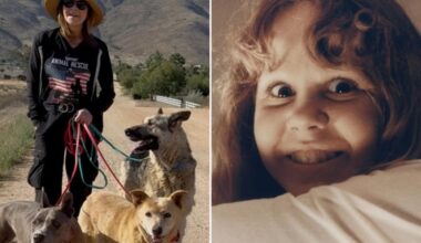 California home of “The Exorcist” star Linda Blair raided