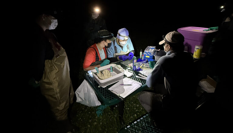 four people wearing surgical masks huddled around a lighted table in the dark