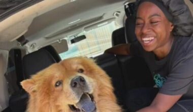 Oakland woman fights for her life after car crash involving driver under 10 years old