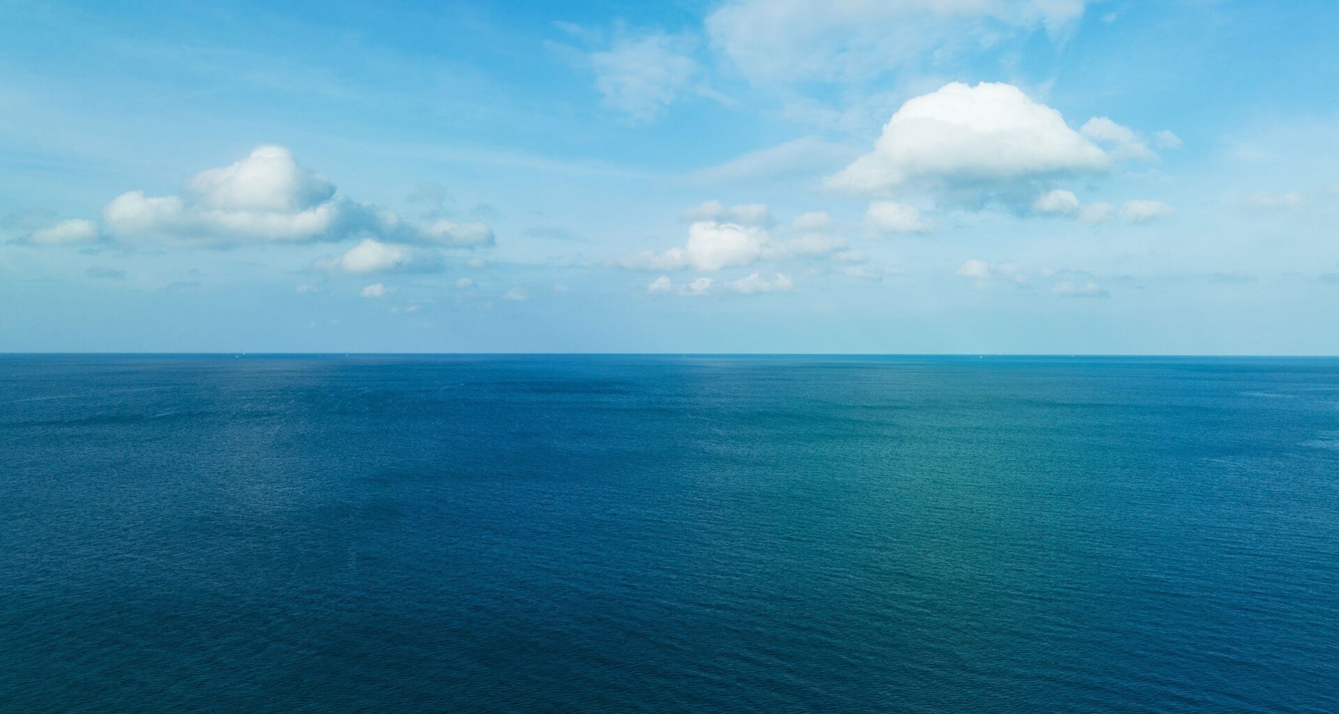 California Man Survives 16 Hours Adrift After Fall From PWC