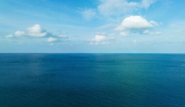 California Man Survives 16 Hours Adrift After Fall From PWC