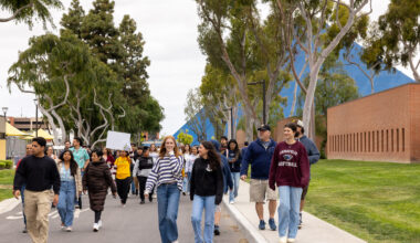 How to get ahead in the age of AI without applying to college • Brand stories