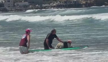 Thousands gather in Pacifica for World Dog Surfing Championships despite rough surf