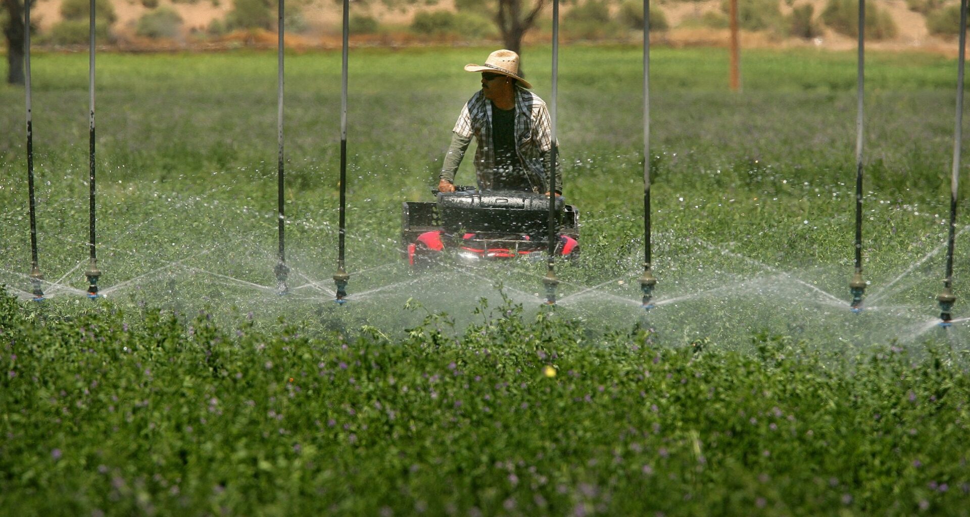 Alfalfa export ban would limit severity of state’s water crunch – San Diego Union-Tribune