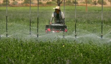 Alfalfa export ban would limit severity of state’s water crunch – San Diego Union-Tribune