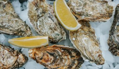 This Week In Food: Bayview Gets an Oyster Bar