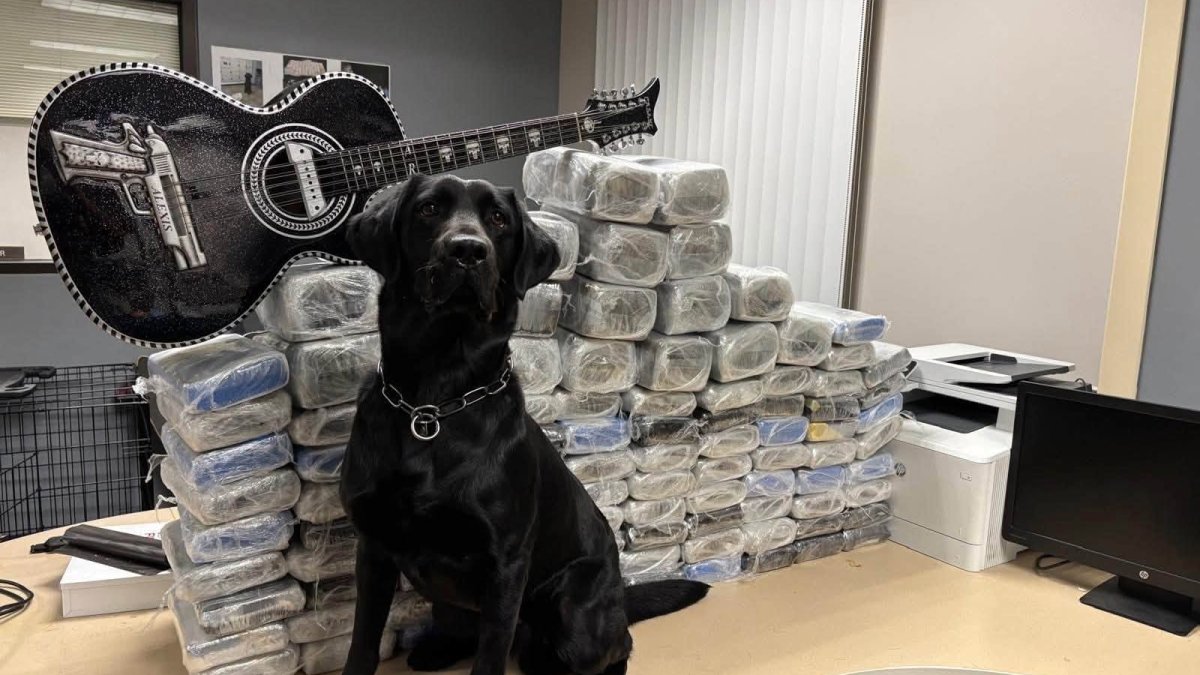 Over 1,300 pounds of meth recovered in major LA County drug raid – NBC Los Angeles